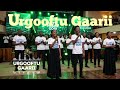 Urgooftu Gaarii