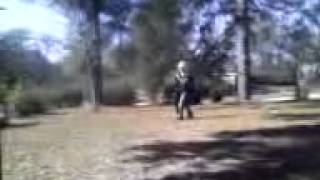 Huge caveman bail