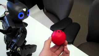 New toy at the office: Darwin-OP Humanoid Robot screenshot 4