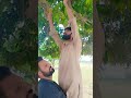 لڑکی کو لڑکا اٹھایا ہوا ہے لڑکے کو اور لڑکا اٹھایا ہوا ہے ویڈیو دیکھیں ضرور 