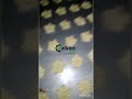 Video Image