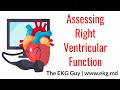 Assessing Right Ventricular Function - ECHO Course l The EKG Guy - www.ekg.md