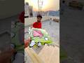 aaj Patang mili vo bhi Patang baaz ko de di #ytshorts #kite #kiteflying #patang #shorts
