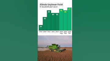 Illinois Crop Production Report for October 2024