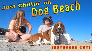 A HAPPY Day on Dog Beach in sunny San Diego at superlow tide for extra beach play!  [EXTENDED CUT]