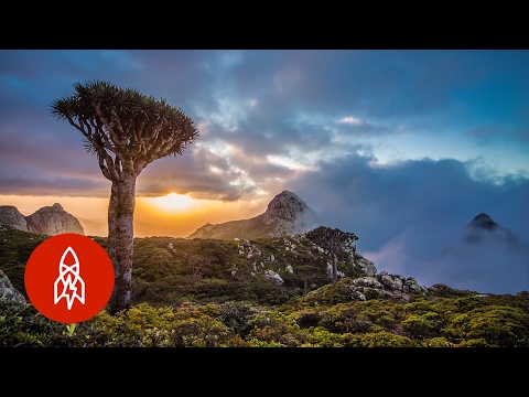 The Alien Beauty of Socotra Island