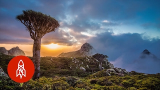 The Alien Beauty of Socotra Island