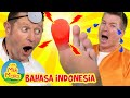 Lagu Jangan Terluka Lagi | Lagu dan Sajak Anak-Anak | The Mik Maks Indonesia