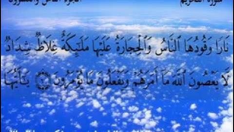 سورة التحريم الشيخ عيد زكي هتنبهر لما تسمعه
