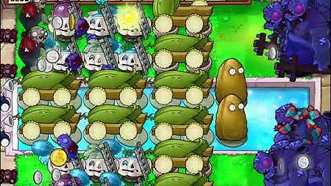 Classic 10 Cobs | Survival Pool Endless