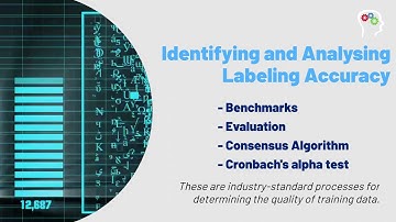 Data Labeling Quality Assurance in Machine Learning