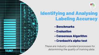 Data Labeling Quality Assurance in Machine Learning