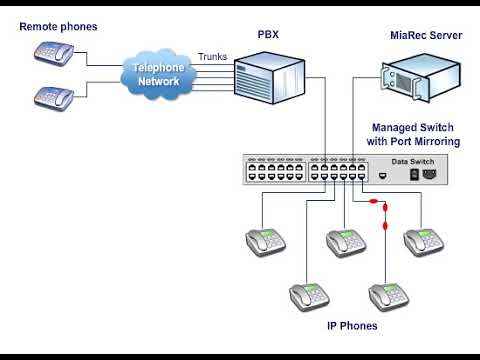 Port Mirroring