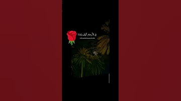 إِنَّ اللَّهَ لَا يَخْفَىٰ عَلَيْهِ شَيْءٌ فِي الْأَرْضِ وَلَا فِي السَّمَاءِ- سورة آل عمران