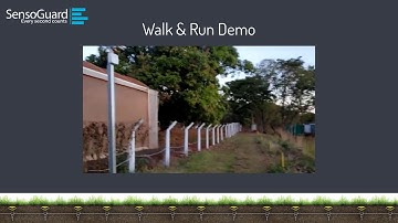 Walk Detection Demo