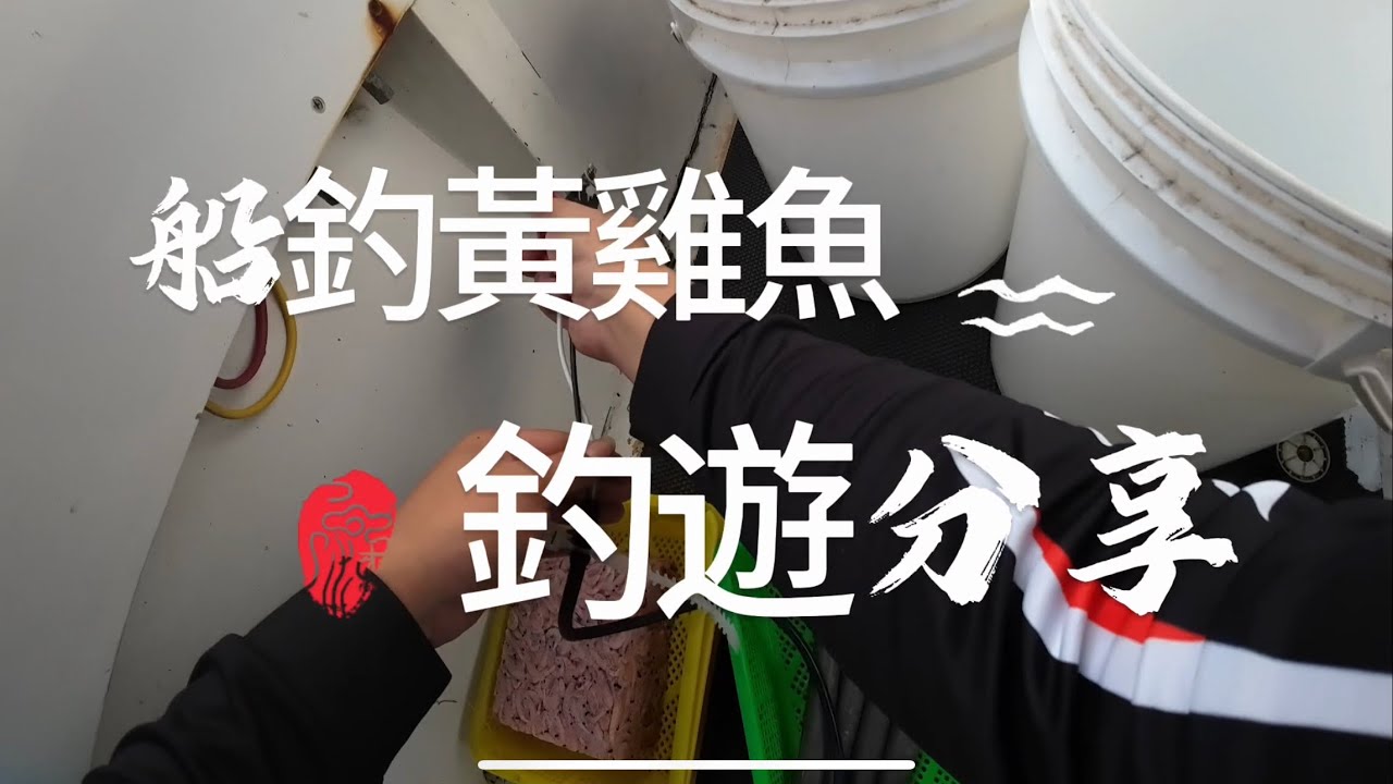 ｛船釣🎣｝船釣黃雞魚釣遊分享 #黃雞魚 #船釣