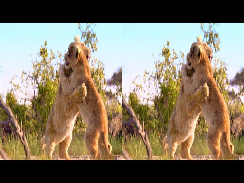 3D Clip: Just Can't Wait (Song) • The Lion King • 5.1 Audio