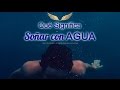 El significado de Soñar Con Agua - YouTube