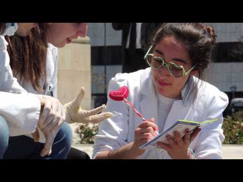 video generacion 6º