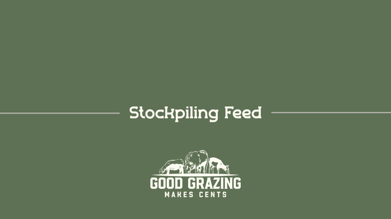 Stockpiling Feed