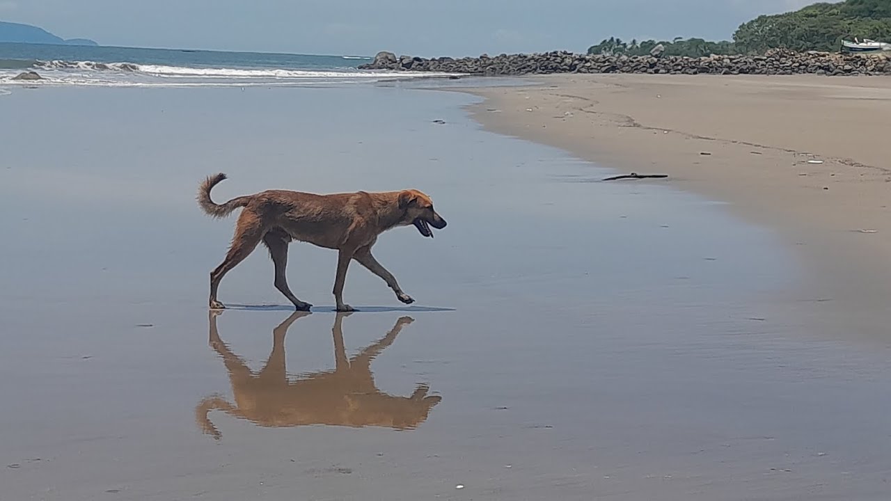 playa el tamarindo lugar hermoso para turistear. - YouTube