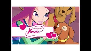 Клуб Уинкс - Сезон 4 Епизод 3 - Последната Земна фея