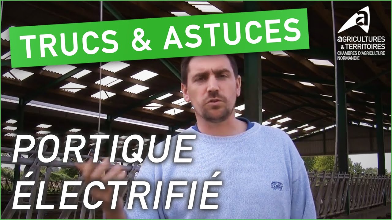 Trucs et astuces d’agriculteurs : Portique électrifié | Cyril Fiault