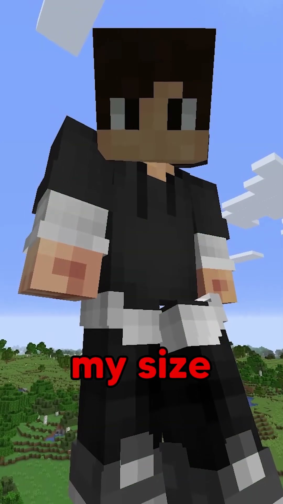 Minecraft, But You Can STEAL Size…