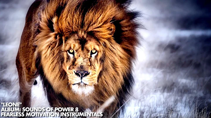 Leone - Immensely Powerful Motivational Instrument...