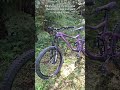 Auraful #mtb #bikepark #trending #surron #fypviral