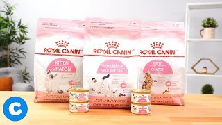 Royal Canin Feline Health Nutrition Birth Cat Food | Chewy screenshot 3