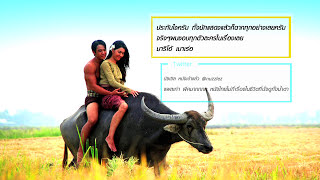 เพลง ลำนำแผลเก่า  #แผลเก่า 2014