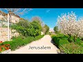 Jrusalem fleurie la beaut indescriptible de la ville au printemps  mevasseret sion
