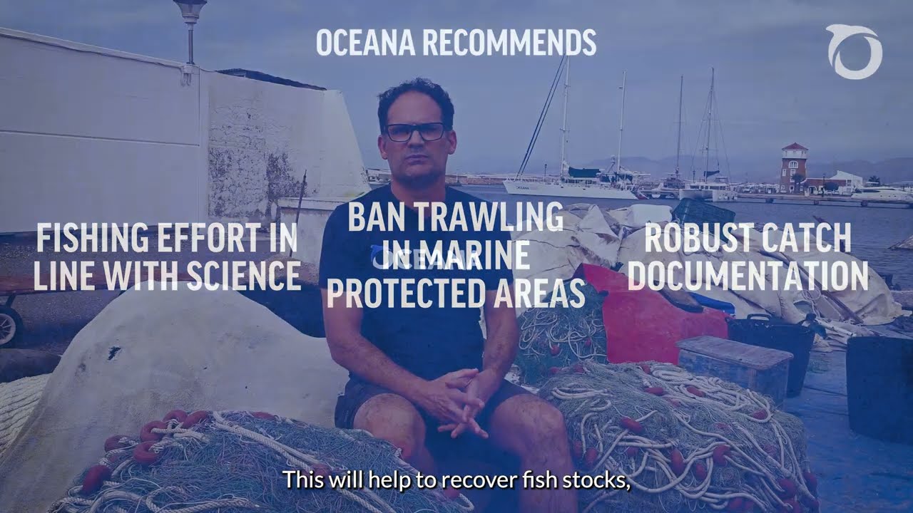 Overfishing in the Mediterranean is of particular concern
