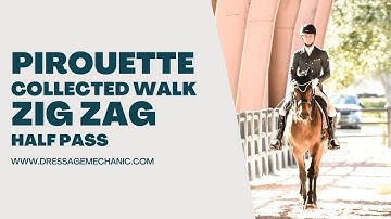 How to improve the pirouette, zig zag half pass, collected walk with Dressage Mechanic, Leif Aho