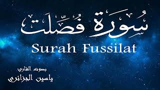 سورة فصلت - ياسين الجزائري Surah Fussilat - Yassin Al-Jazaery