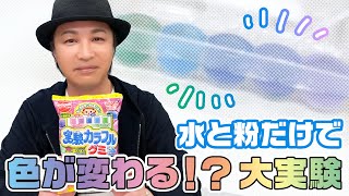 理科「水と粉だけで色が変わる、実験カラフルグミでまさかの結末…？」夏休みの自由研究