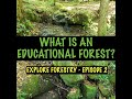 What is an educational forest