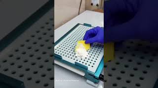 Download Mp3 Begini salah satu cara membuat obat kapsul. #trend #obat Gudang lagu Download Mp3 Begini salah satu cara membuat obat kapsul. #trend #obat