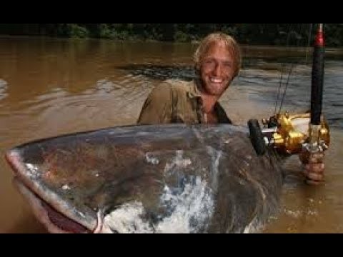 Video: Co Je Největší Sladkovodní Ryba