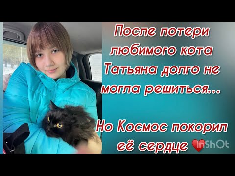 После потери любимого кота Татьяна долго не могла решиться… но Космос покорил её сердце ♥️