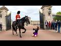 People Who Messed With The Royal Guard and Regretted It