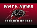 WH Panther Update - 11/13/20