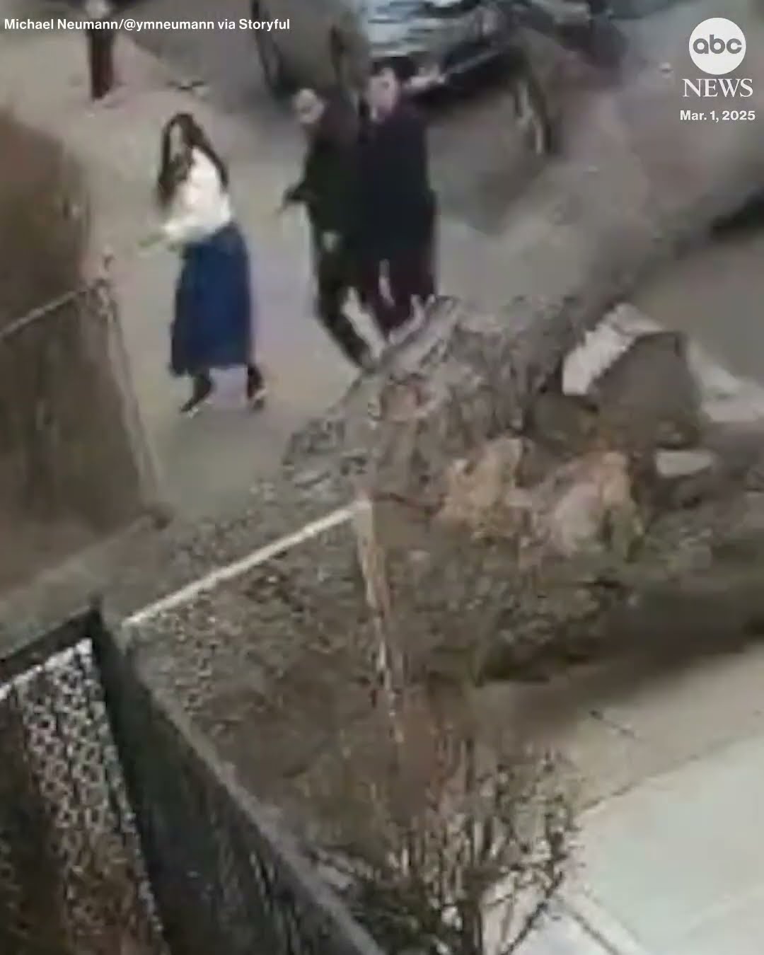Falling tree narrowly misses three people on Brooklyn sidewalk #newyork #closecall #brooklyn