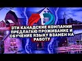 12 КАНАДСКИХ КОМПАНИЙ ПРЕДЛАГАЮТ ПИТАНИЕ, ОБУЧЕНИЕ ЯЗЫКУ И ПРОЖИВАНИЕ ВЗАМЕН НА ПОМОЩЬ // ХАУССИТИНГ