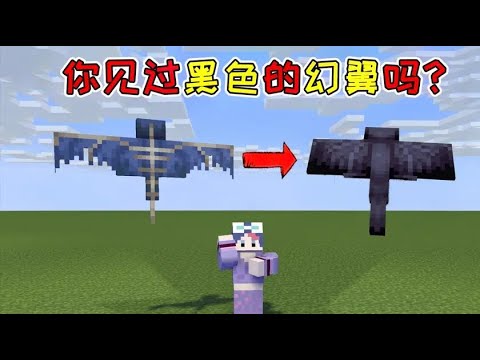 MC盤點14：妳見過黑色的幻翼嗎？智商負100，喜歡鉆進土裏轉圈！