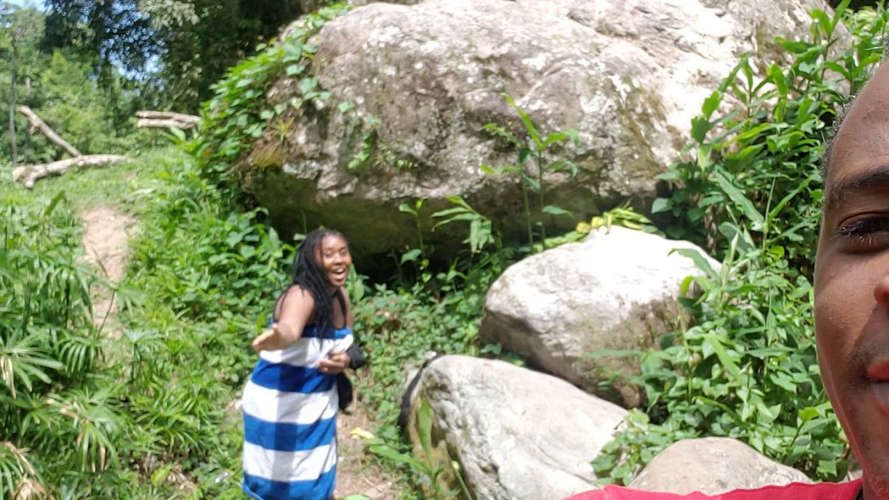 Nature Walk around the property of Langley Great House