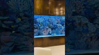 A closer look at our 1700g Artificial Reef Aquarium Installation