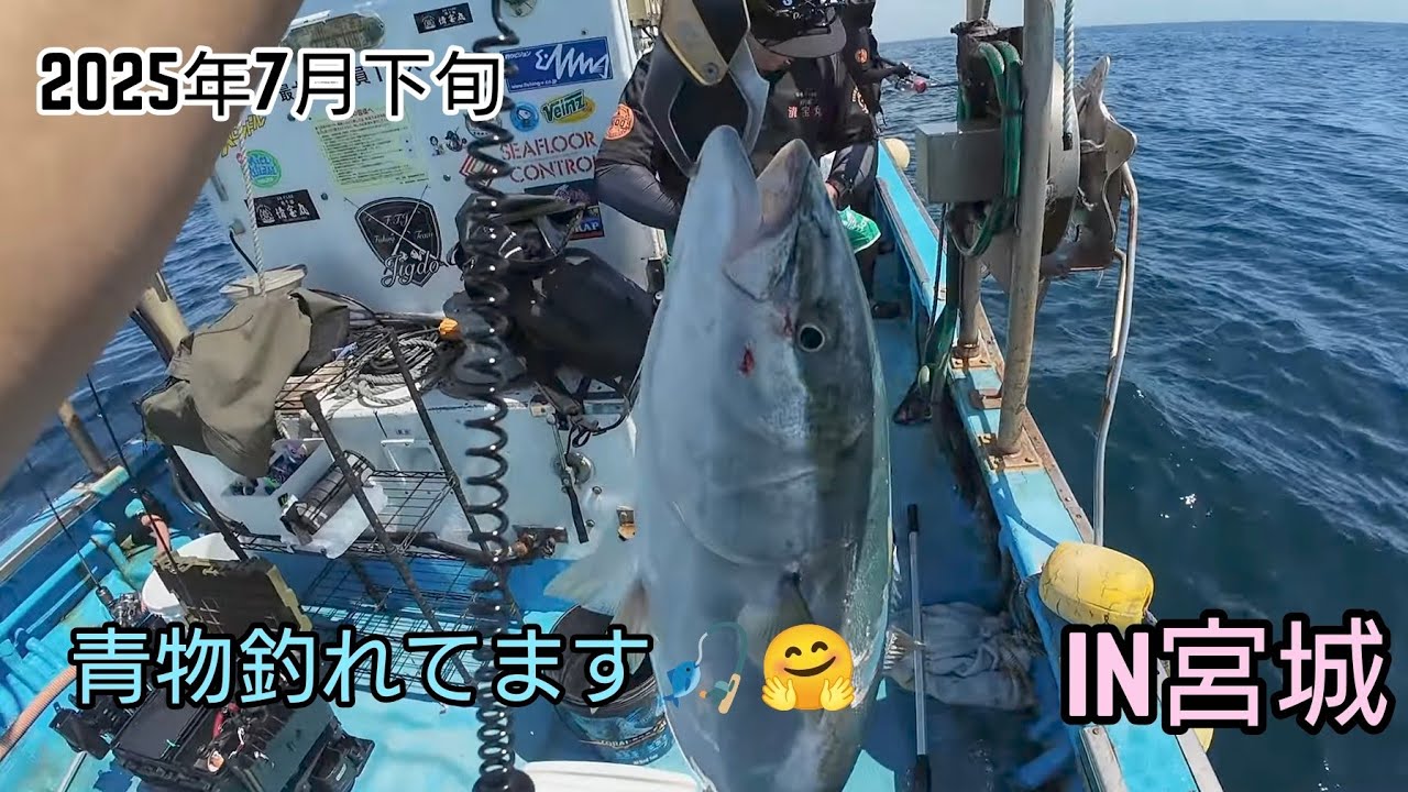 元気な青物釣れています「宮城」