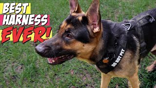 The BEST tactical Harness for German Shepherds | K9 Tactical Gear Reviewed